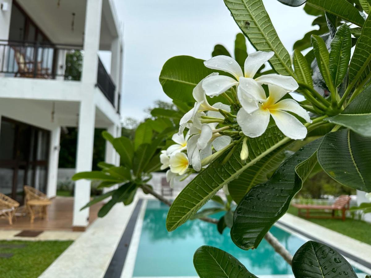 Finch * Tangalle